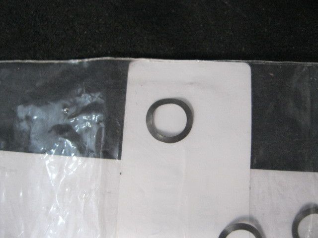 LAM 205 005 WASHER SPRING 1/4ID  